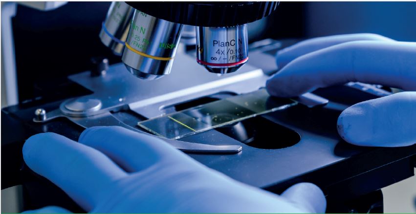 Laboratoires GRIMBERG : Une expertise ORL au service du quotidien des patients