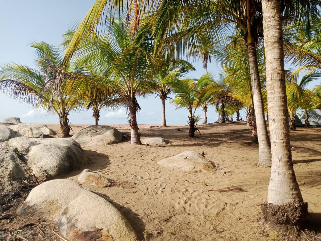 Djaka Touristic 2026 à Pauly Plage : immersion au cœur d’un écosystème marin à préserver